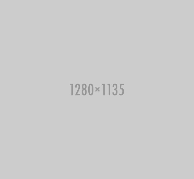 100 binner