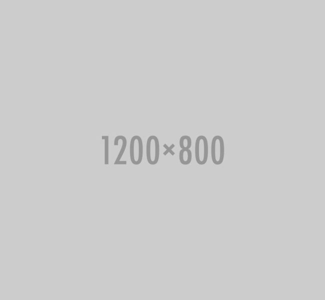 101 card2